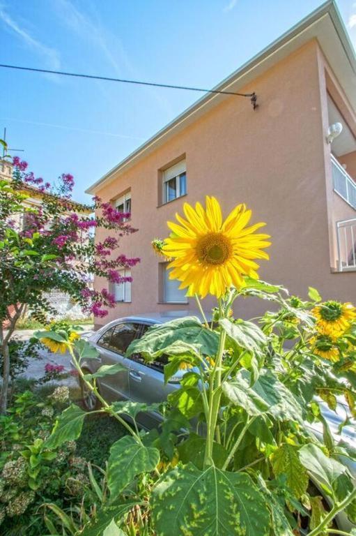 Apartman Studio Nena Криквеница Екстериор снимка